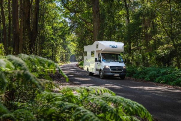 Maui River rijdt door de Yarra Valley in Victoria op een weg tussen groene bomen