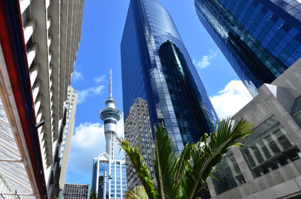 Zicht op de Skytower in Auckland van onderaf gefotograafd, met groene palm op de voorgrond en wolkenkrabbers eromheen