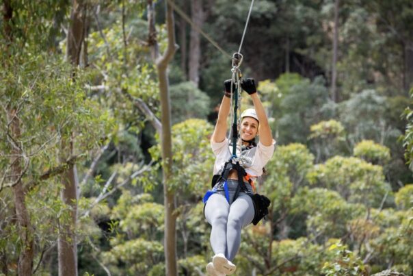 Zipline Tamborine Mountain Queensland