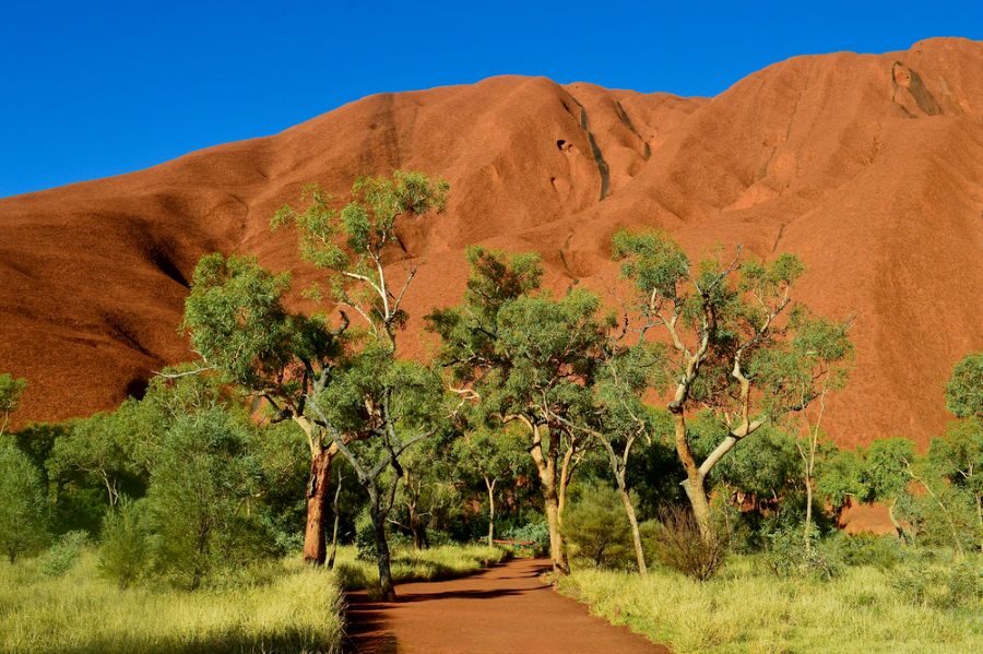 Pad naar de base van Uluru ofwel Ayers Rock met groene bomen voor de rots