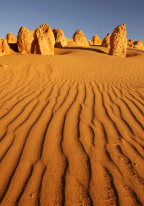Pinnacles Nambung National Park