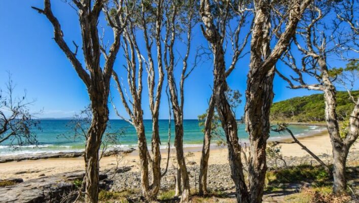 Noosa National Park