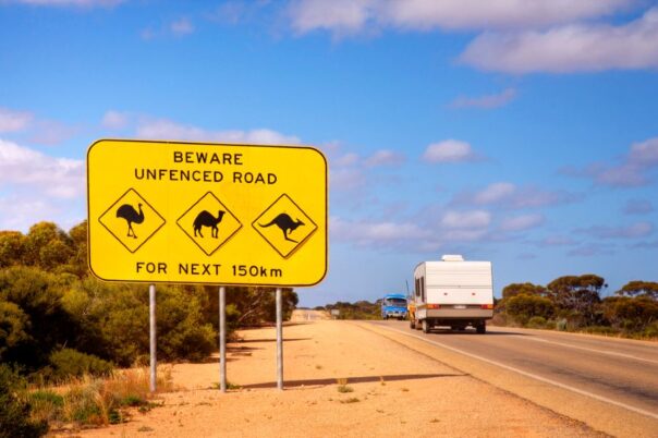 Waarschuwingsbord voor dieren langs de Nullarbor, caravan rijdt op de weg