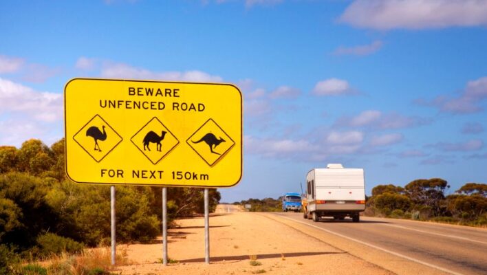 Waarschuwingsbord voor dieren langs de Nullarbor, caravan rijdt op de weg