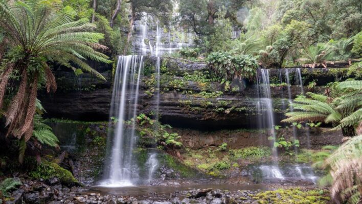 Watervallen in het bos in Mount Field national park Tasmanië