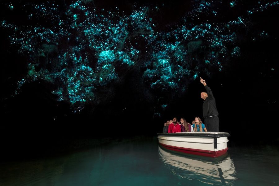 Bootje in Waitomo grot op Noordereiland onder verlichte hemel van glowworms ofwel gloeiwordem