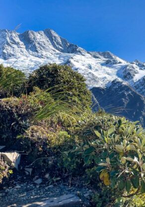 Wandelpad omhoog in de bergen van Mount Cook National Park met besneeuwde bergtoppen in zicht