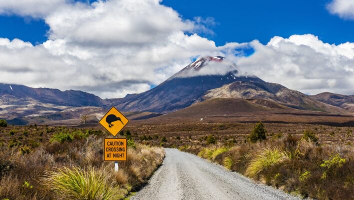 Verkeersbord met kiwi erop staat langs de weg naar een vulkaan in Tongariro National Park