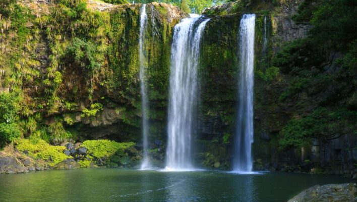 Zicht op de Whangarei Falls en de waterpoel ervoor op het Noordereiland