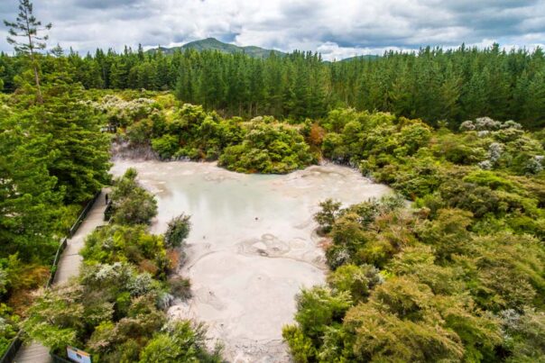 Geothermische bronnen bij Rotorua in Nieuw-Zeeland
