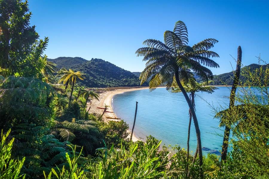 Uitzicht op een strand in het Abel Tasman National Park