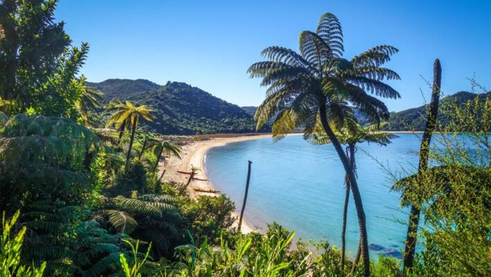 Uitzicht op een strand in het Abel Tasman National Park