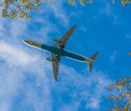 Duurzaam reizen: wij planten bomen