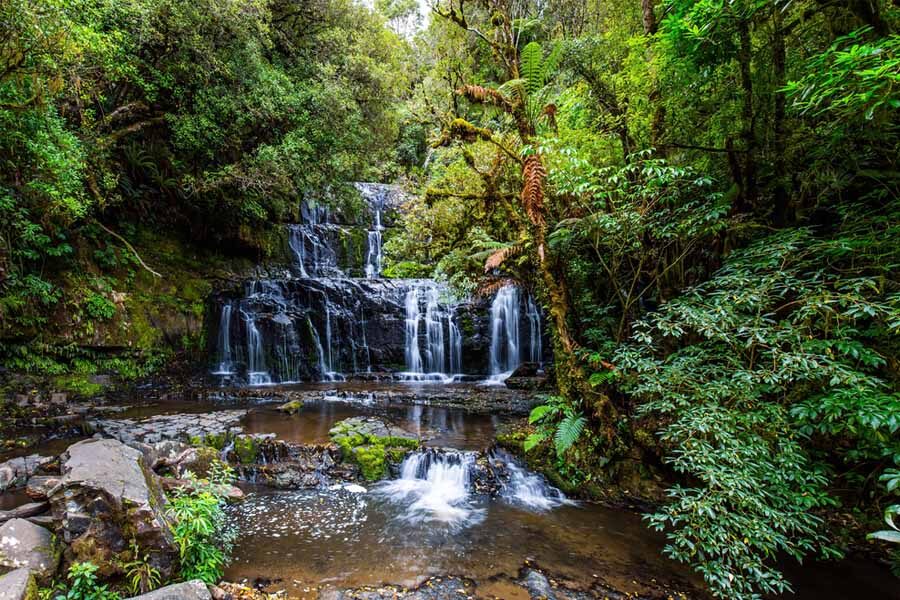 De Purakaunui Falls op het Zuidereiland