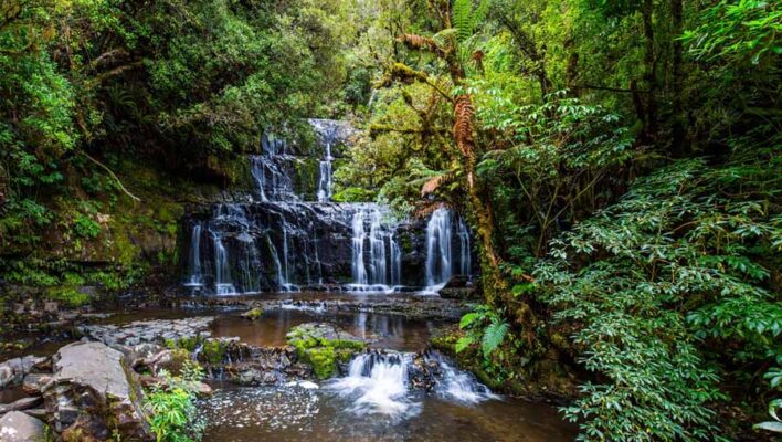 De Purakaunui Falls op het Zuidereiland