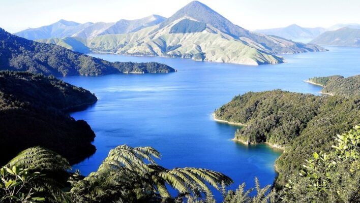 Zicht op de fjorden in de French Pass in de Marlborough Sounds
