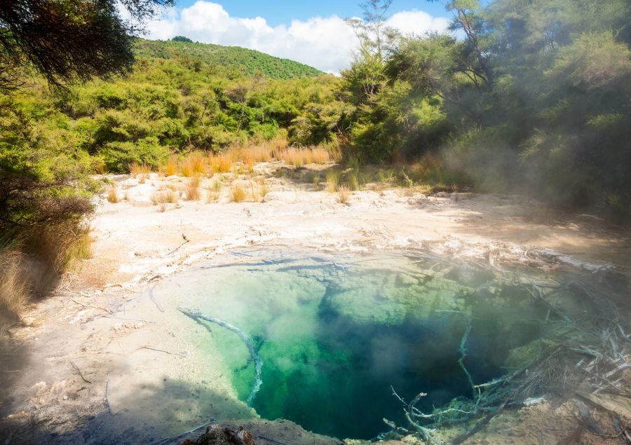 Zicht op de Tokaanu Thermal Pools met struiken eromheen