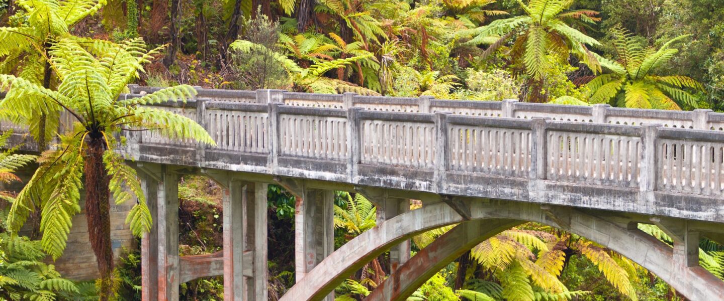 Bridge to Nowhere bij Whanganui op het Noordereiland