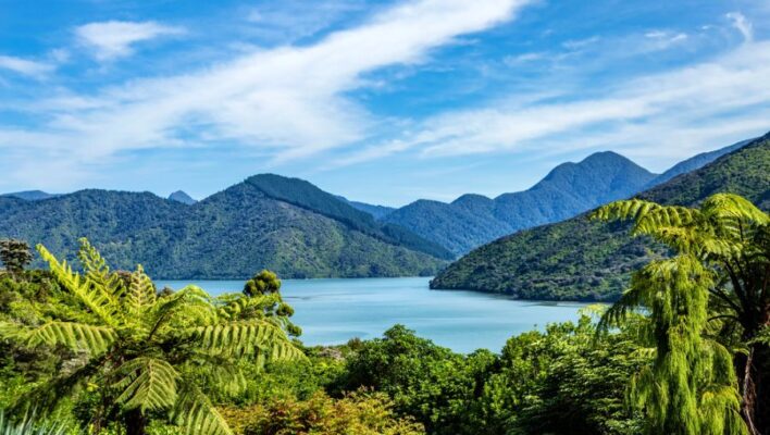 Queen Charlotte Drive uitzicht