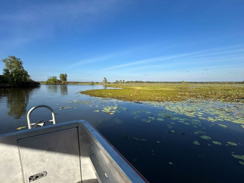Kakadu Yellow Water billabong boottocht