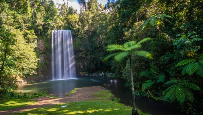 Zicht op de Millaa Millaa Falls in de Atherton Tablelands met palmboom op de voorgrond