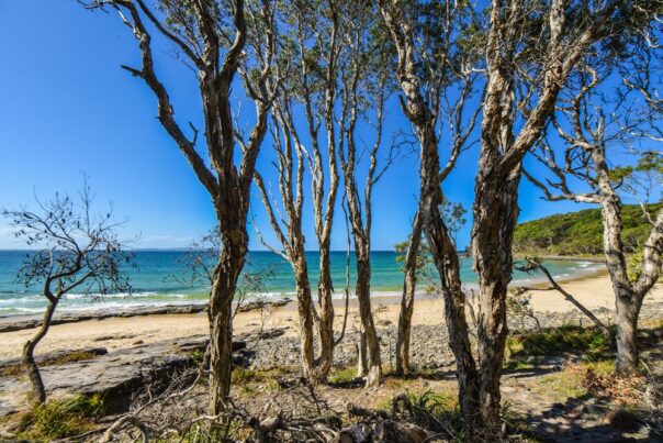 Noosa National Park