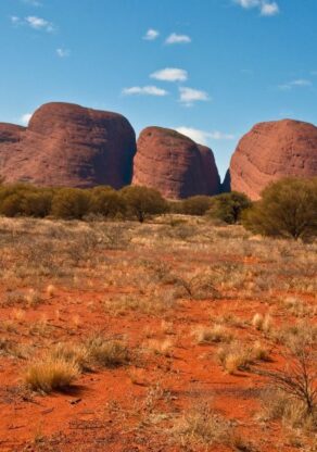 De rode koepels van Kata Tjuta in het Red Centre met gravel op de voorgrond