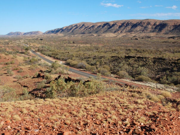 Zicht op de weg door de Flinders Ranges in South Australia