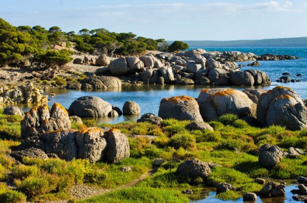 South Australia Eyre Peninsula Lincoln NationL park