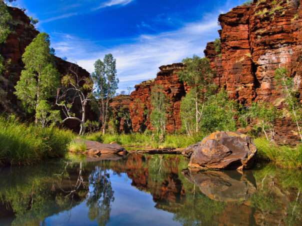 Waterpoel met groene bomen in een kloof in Karijini national park